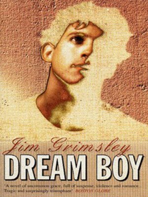 cover image of Dream boy